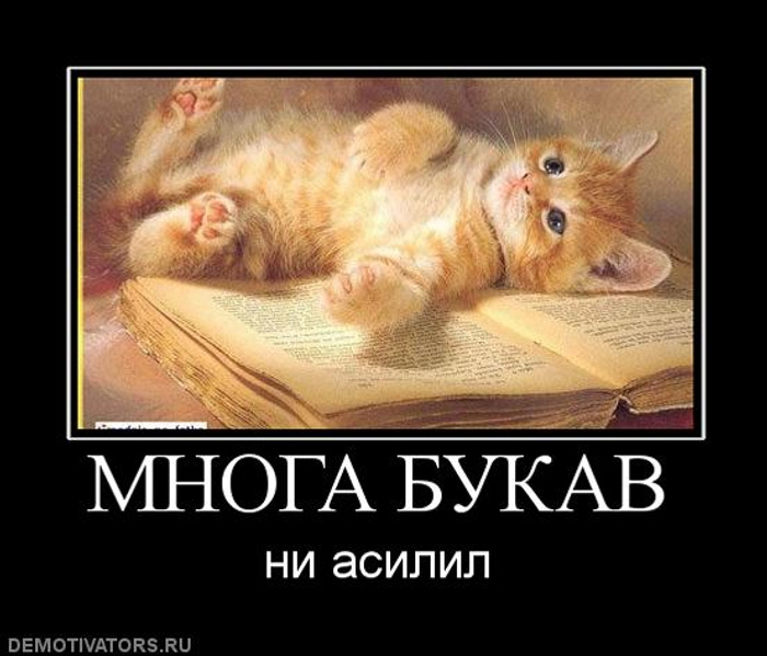 cf39e5fdb7122a28719e44c9c1affa46049a957b