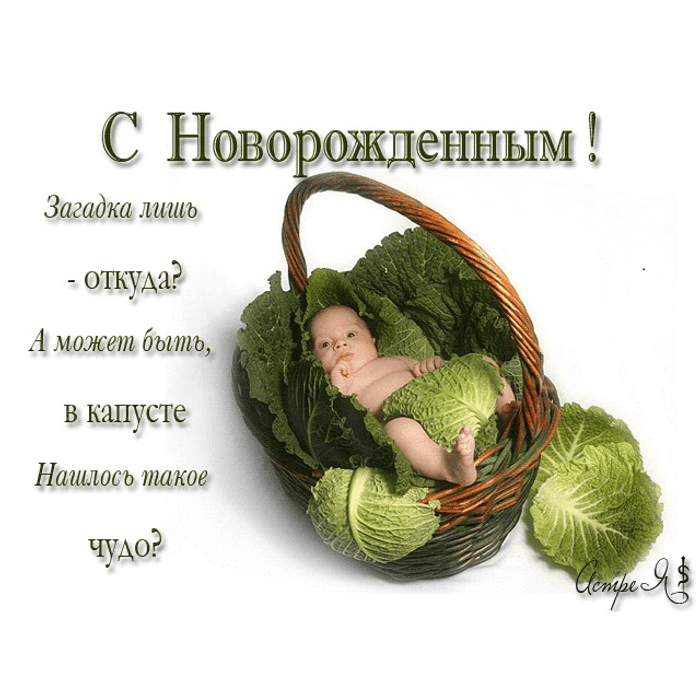 У вас родился внук картинки