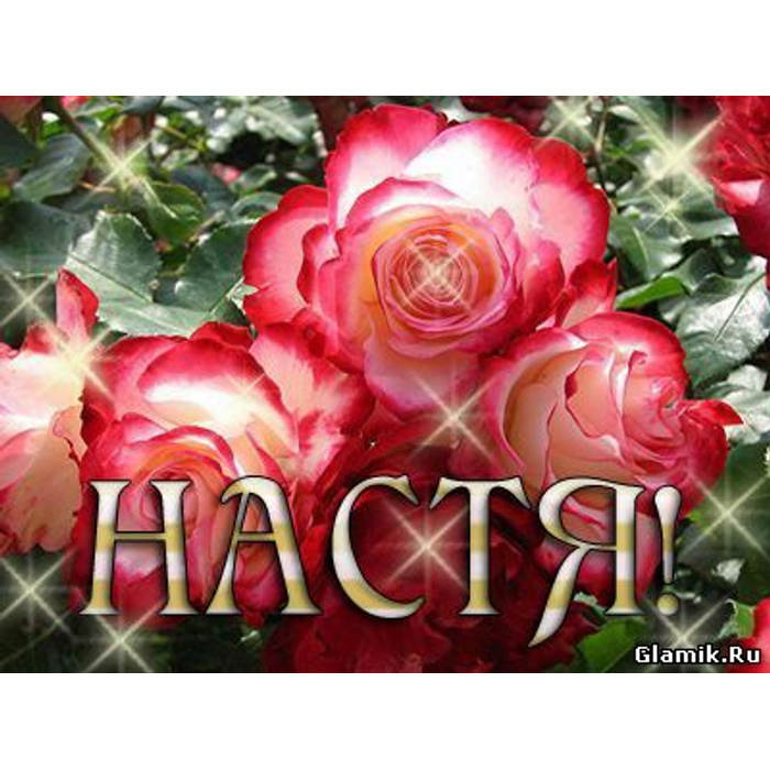 Цветок настя фото