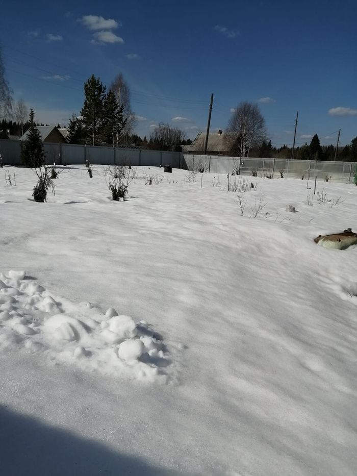 IMG-20220409-WA0002.jpg