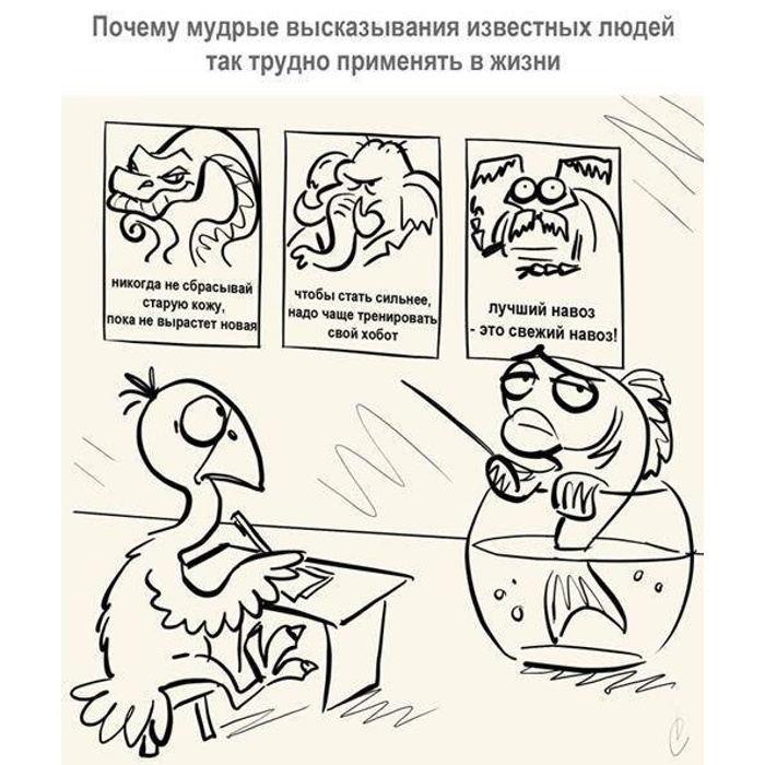 Коуч прикол. Интеллектуальные шутки. Интеллектуальный юмор в картинках. Интеллектуальные приколы в картинках. Интеллектуальные анекдоты