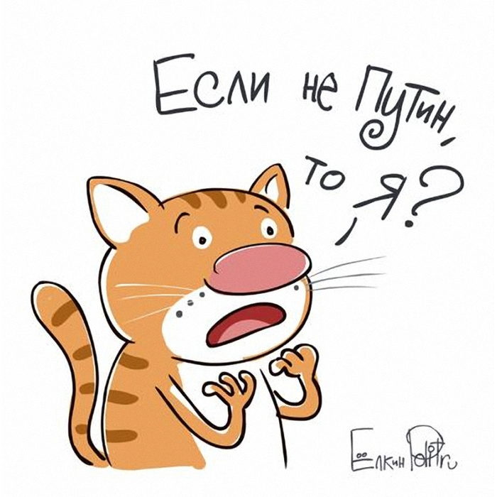 Если не путин то кот картинки