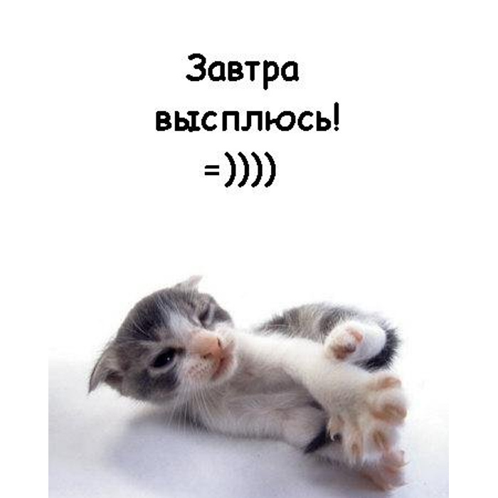 She never doing that. Завтра выспимся. Завтра выспимся картина купить. Завтра выспимся футболка.