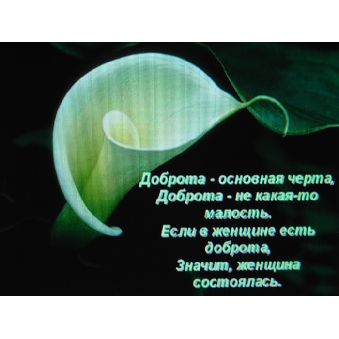 Красивые добрые стихи о жизни. Если сегодня кому то не сказали добрых слов. Цитаты про добро. На как то по доброму. Статусы про добро.
