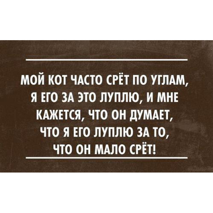 Часто какаю. Мой кот часто срет по углам. Анекдот мой кот срет по углам. Мой кот часто срёт по углам и я его за это луплю. Кот думает что мало срёт анекдот.