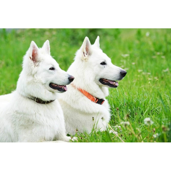 3. Снегурочка