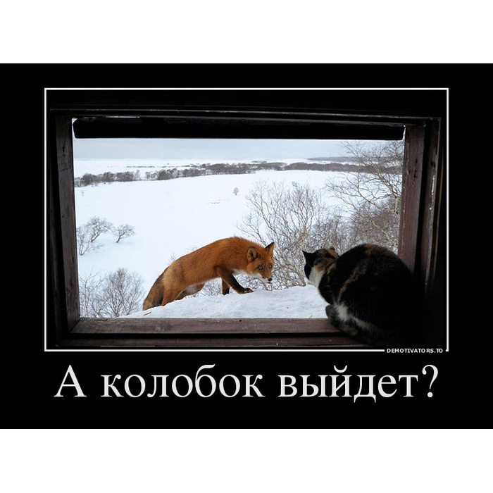 Выйду я прогуляюсь. Колобок демотиваторы. Демотиваторы с животными. А Колобок выйдет гулять. А Колобок выйдет.