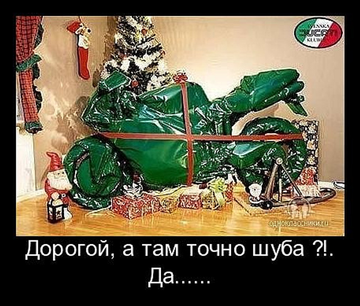 ��� ��������