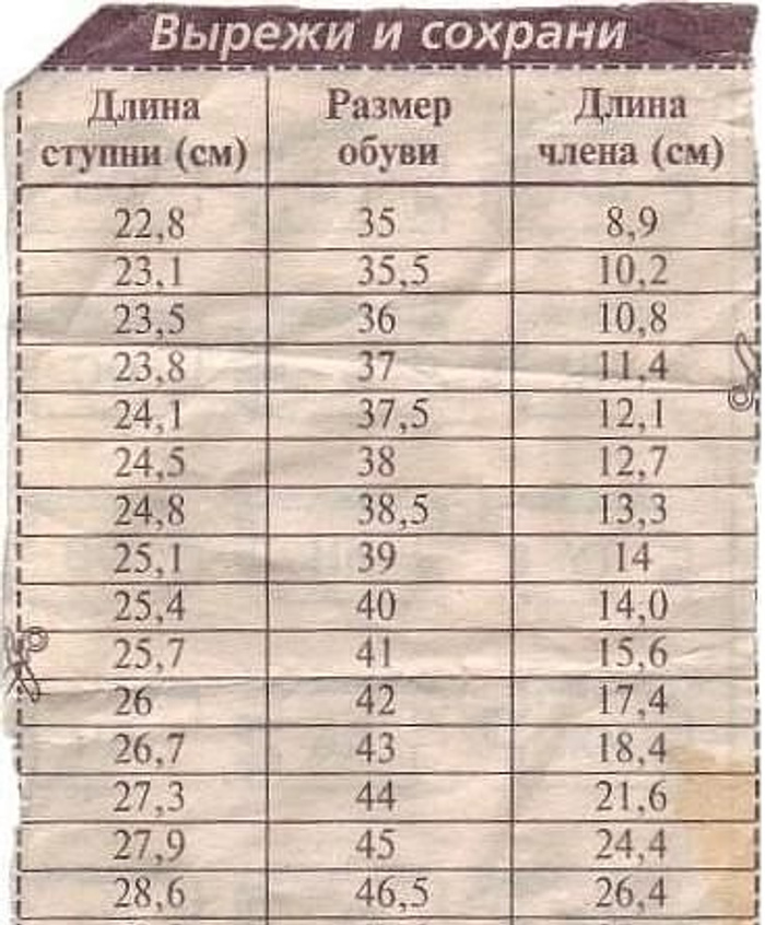 1085197.jpg