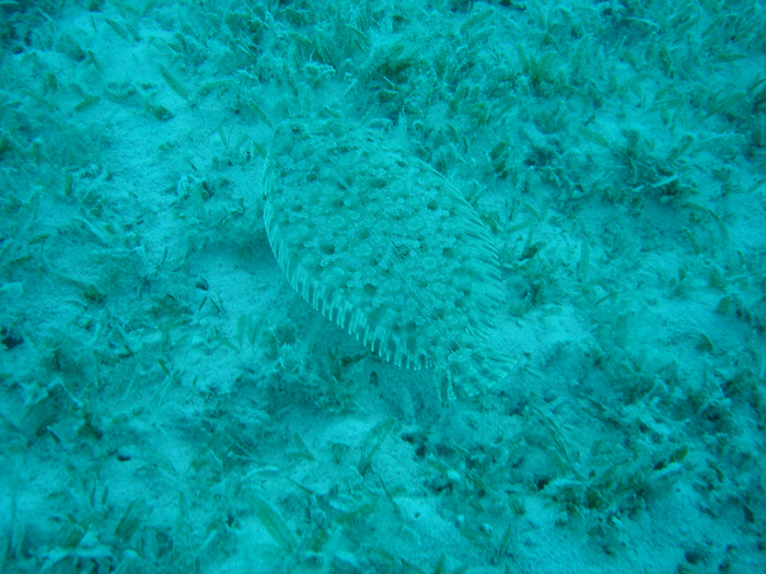 DSC05625.JPG