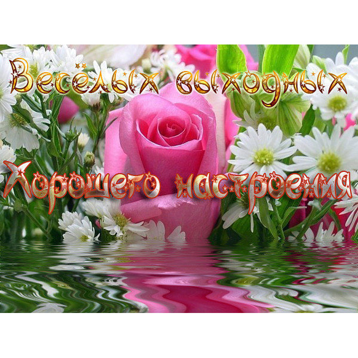 Картинки доброе утро и приятных выходных