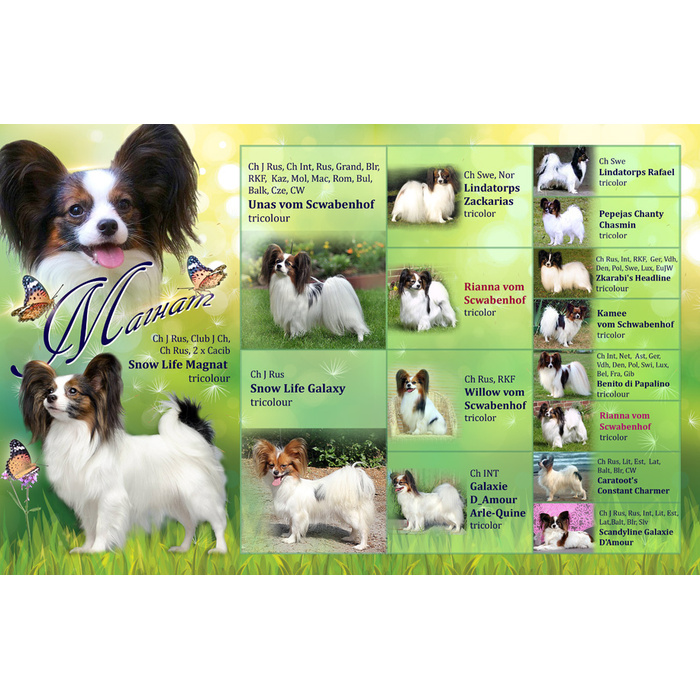 Финансовая составляющая