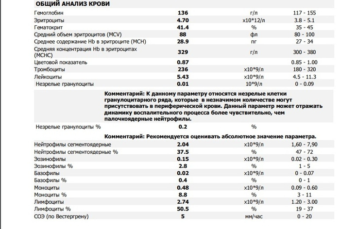 Лимфоциты проценты повышены а абсолютные в норме. Лимфоциты проценты повышены а абсолютные в норме