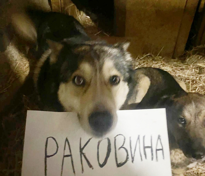 PXl8UbaBtaQ.jpg