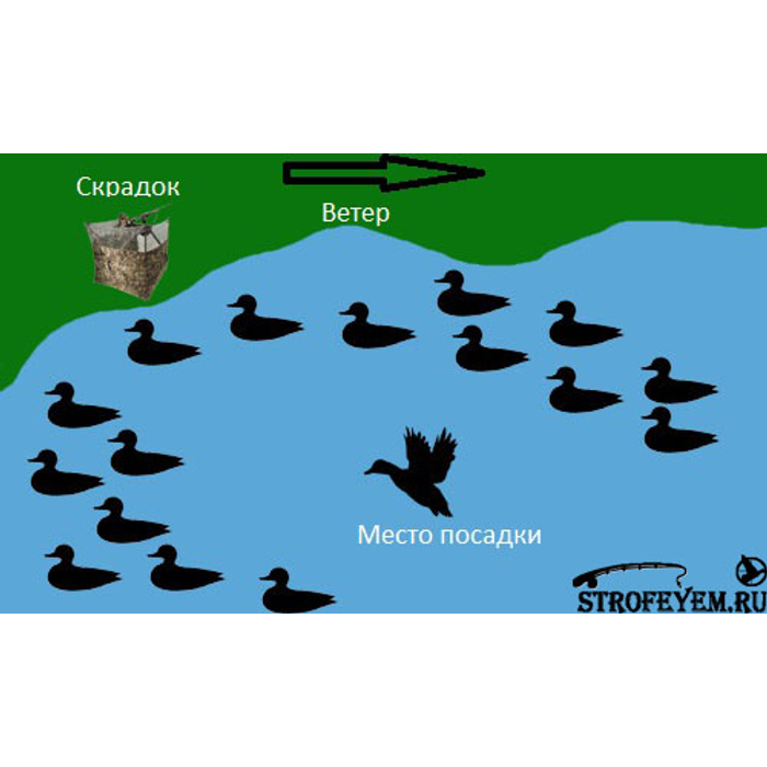 Схема расстановки гусей. Схемы расстановки чучел уток. Расстановка чучел уток. Расстановка утиных чучел на весенней охоте. Схема расстановки чучел гусей.