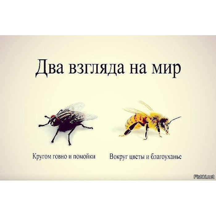 Когда говоришь без всякого плана сам не отгадаешь куда приведет тебя твоя речь