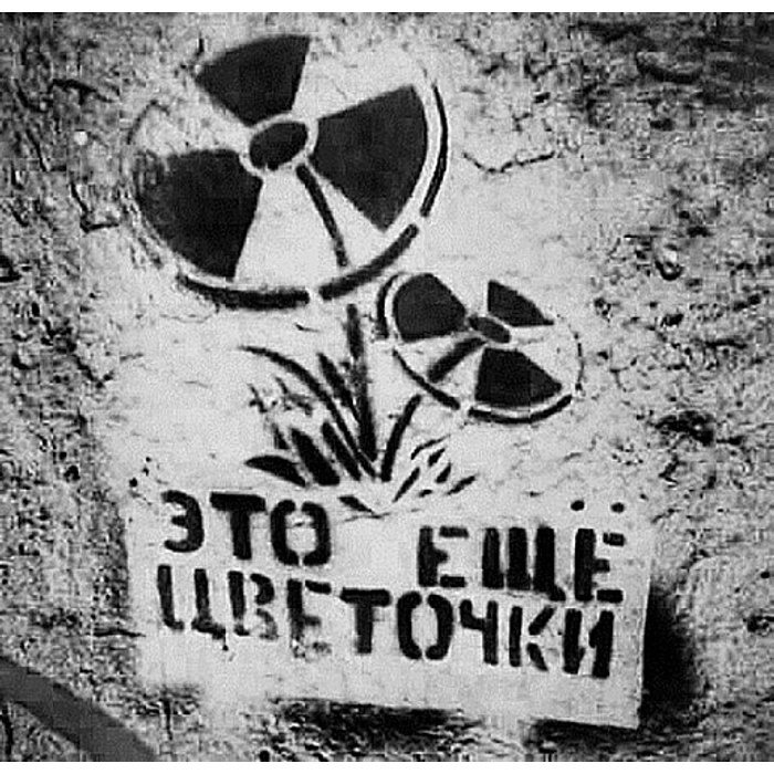 Это были еще цветочки. Это еще цветочки. Это ещё цветочки а ягодки будут впереди. Это были еще цветочки. Оранжевые цветы в поле.