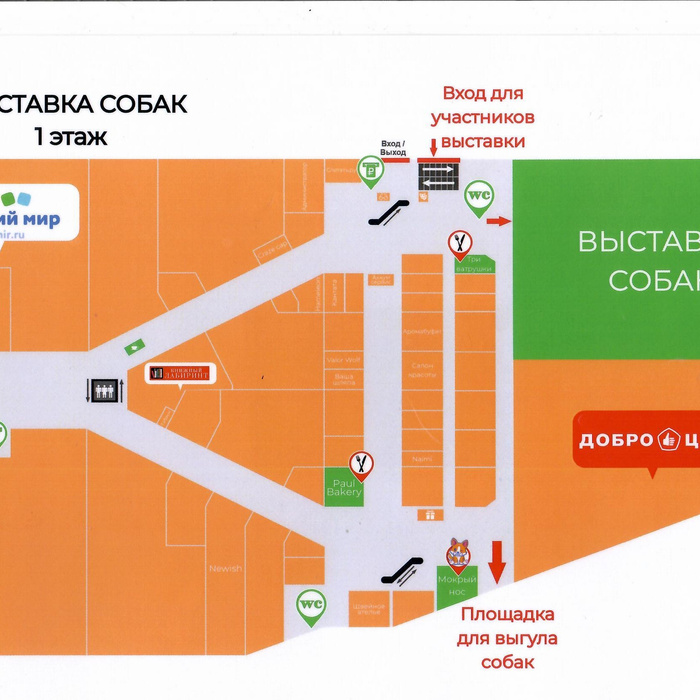 Выставки екатеринбург 2023. Выставка собак КОМСОМОЛЛ Екатеринбург. ТРК КОМСОМОЛЛ выставка собак. Выставки собак схемы. Площадка для выставки собак в ТРЦ КОМСОМОЛЛ Екатеринбург.