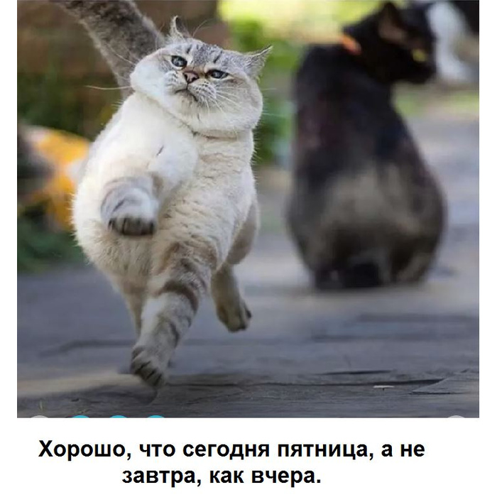 f57dface692382053f47bd5d3b45a3050d8a9350_700_700.jpg