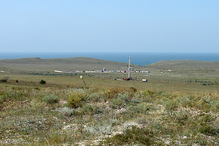733.jpg