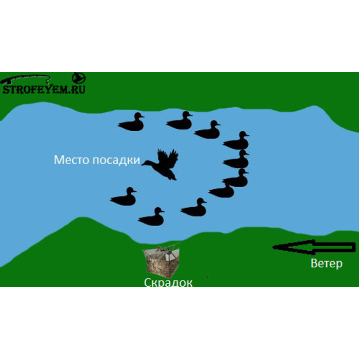 Схема расстановки чучел уток на охоте
