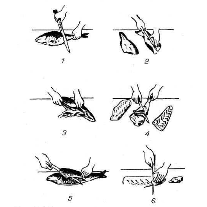 Технологическая схема разделки рыбы на чистое филе