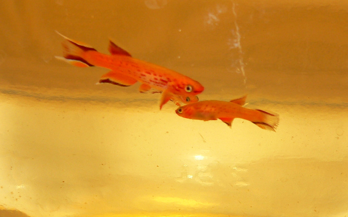 P1050794_cr.jpg