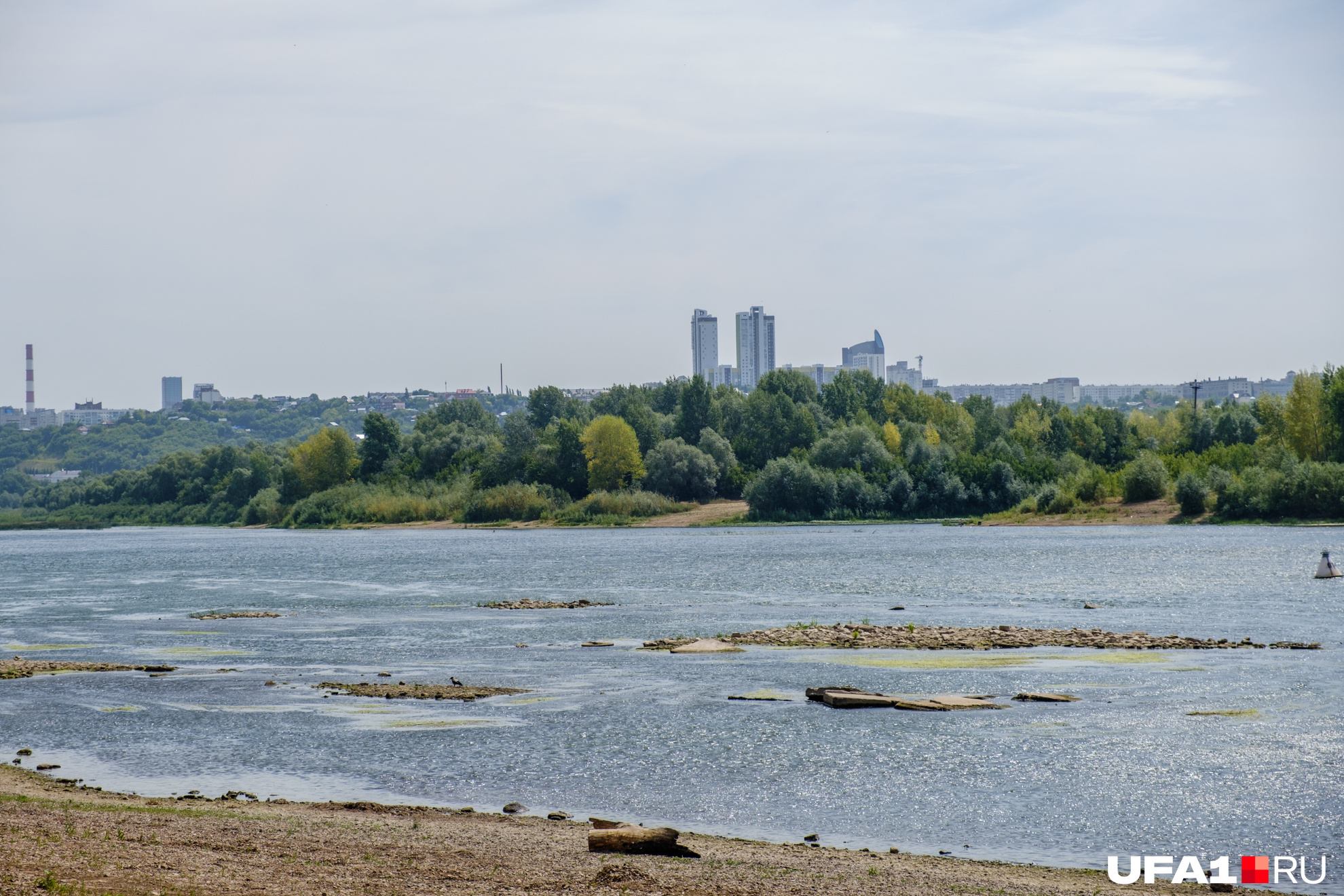 Вода цветет