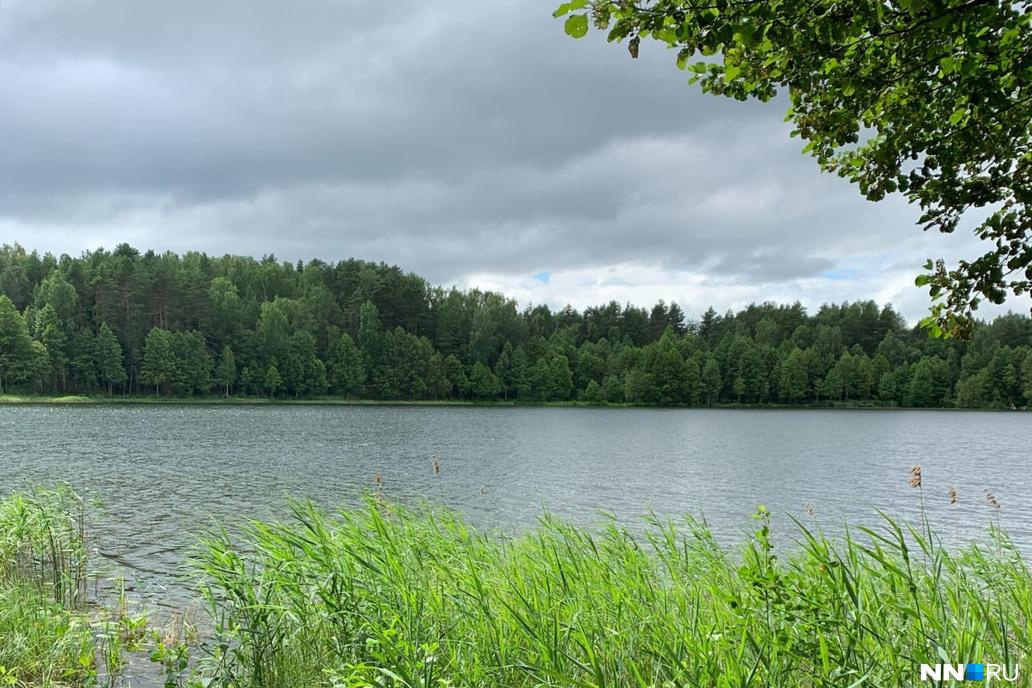 В самом знаменитом озере Нижегородской области запретили купаться. Там нашли опасную бактерию