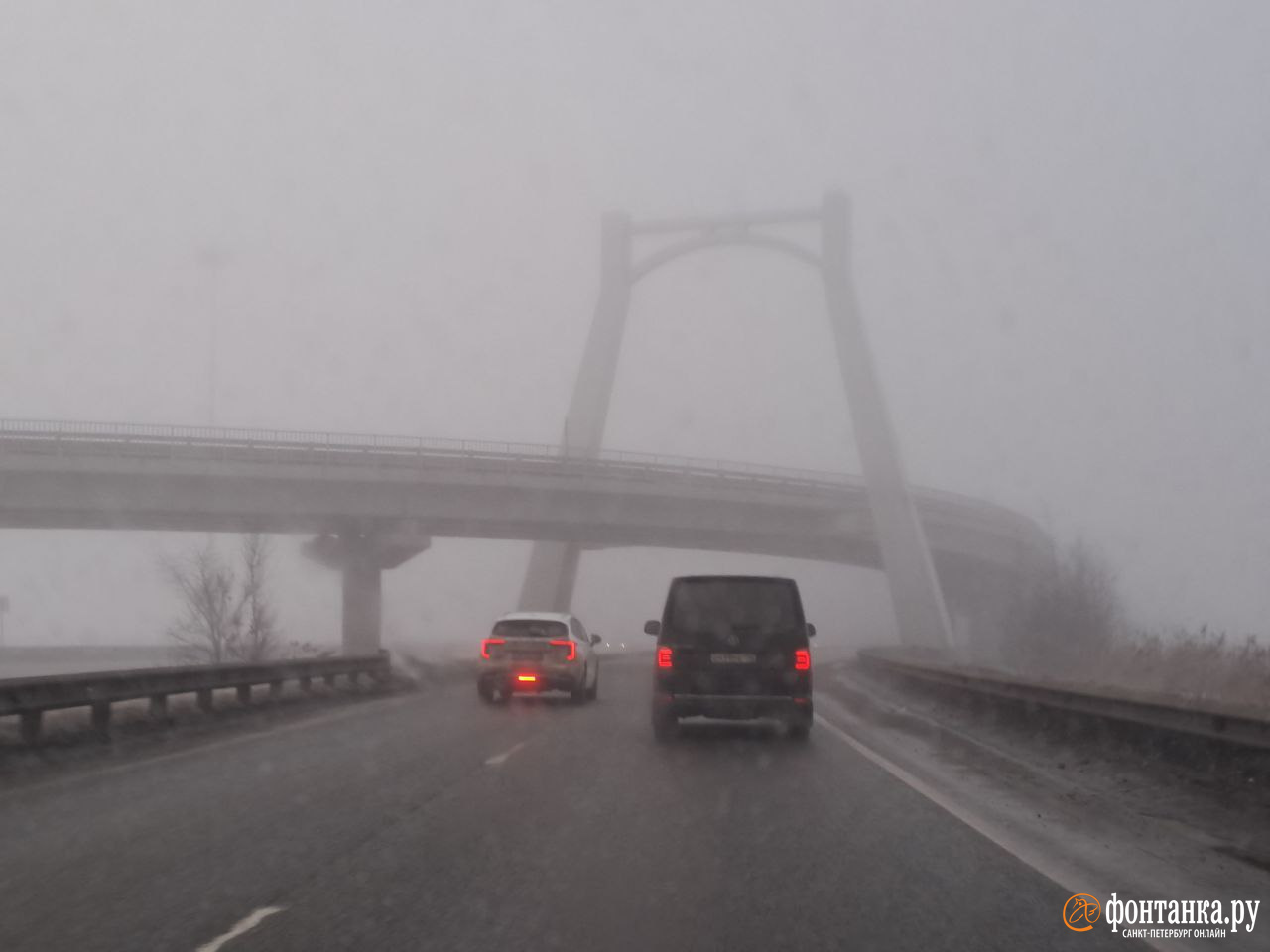 Туман подкрался к Петербургу. Посмотрите, как в нем исчезает Приморское шоссе