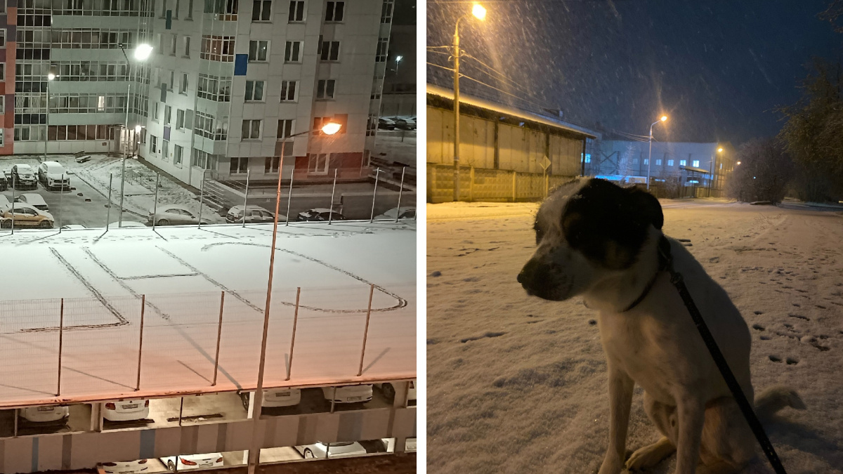 Грустная собака и удивленный Мерзликин: Пермь засыпало снегом перед майскими. Фотоподборка