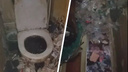 «Мы уже на грани»: мать и сын захламили новосибирскую квартиру - видео из жилья, которое доводит соседей