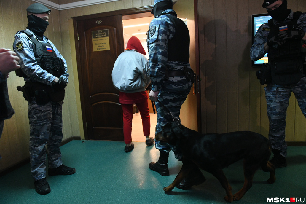 «Злорадствуют токсичные завистники»: в России началась охота на инфоцыган и блогеров-миллионников