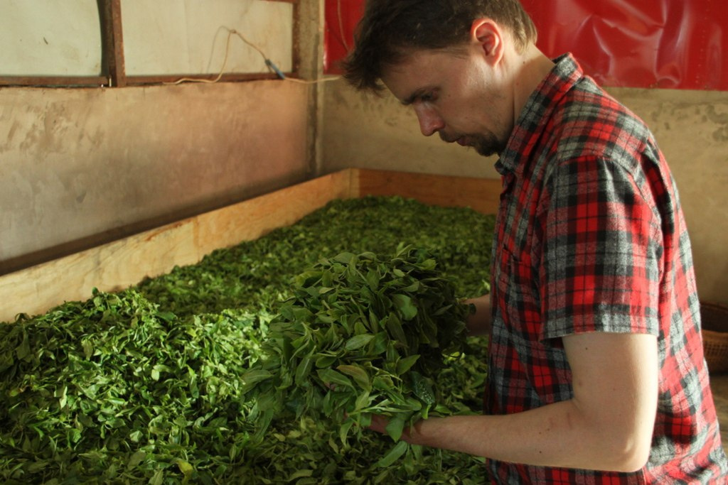 Несколько лет Александр руководил фабрикой по изготовлению чая в Лаосе