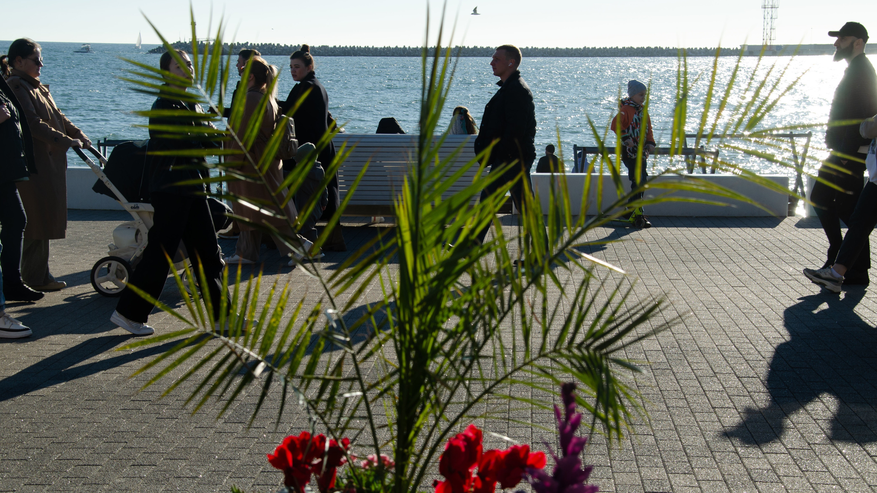 В Сочи от арендаторов пляжей потребовали открыть бесплатные туалеты: на курорте идет подготовка к лету