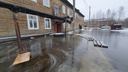 «Так будет продолжаться, пока не растает весь снег»: в РВК рассказали, почему затопило Гидролизный