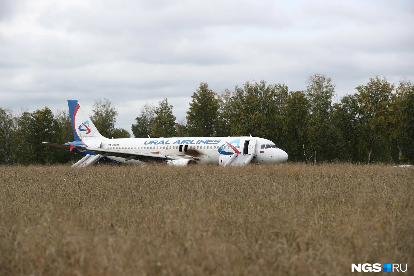 Самолет оставят в новосибирском поле до весны. А потом надеются вновь поднять в небо