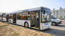 Низкопольные и на дизельном топливе: показываем новые самарские автобусы в одной картинке