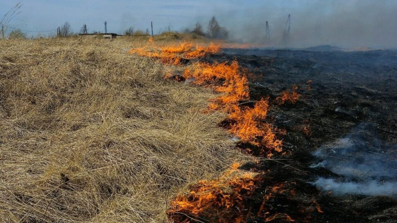 В Якутске горит лес у дачных поселков села Маган