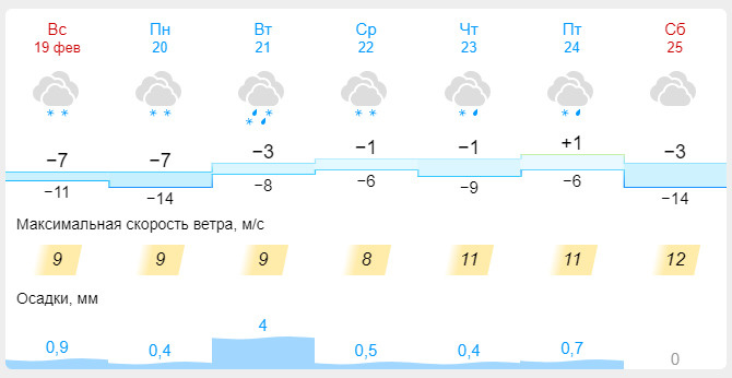 По данным «Гисметео», в Новосибирске возможен мокрый снег во вторник, четверг и пятницу
