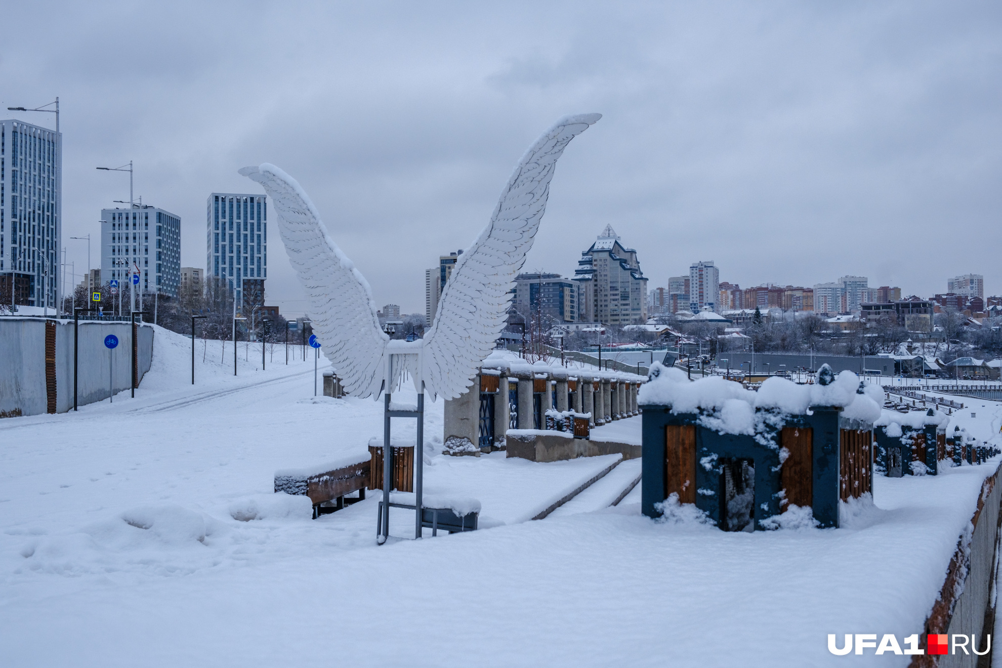 Блуждающие крылья