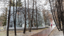 Когда пойдет первый снег в Новосибирске — неутешительный прогноз синоптиков