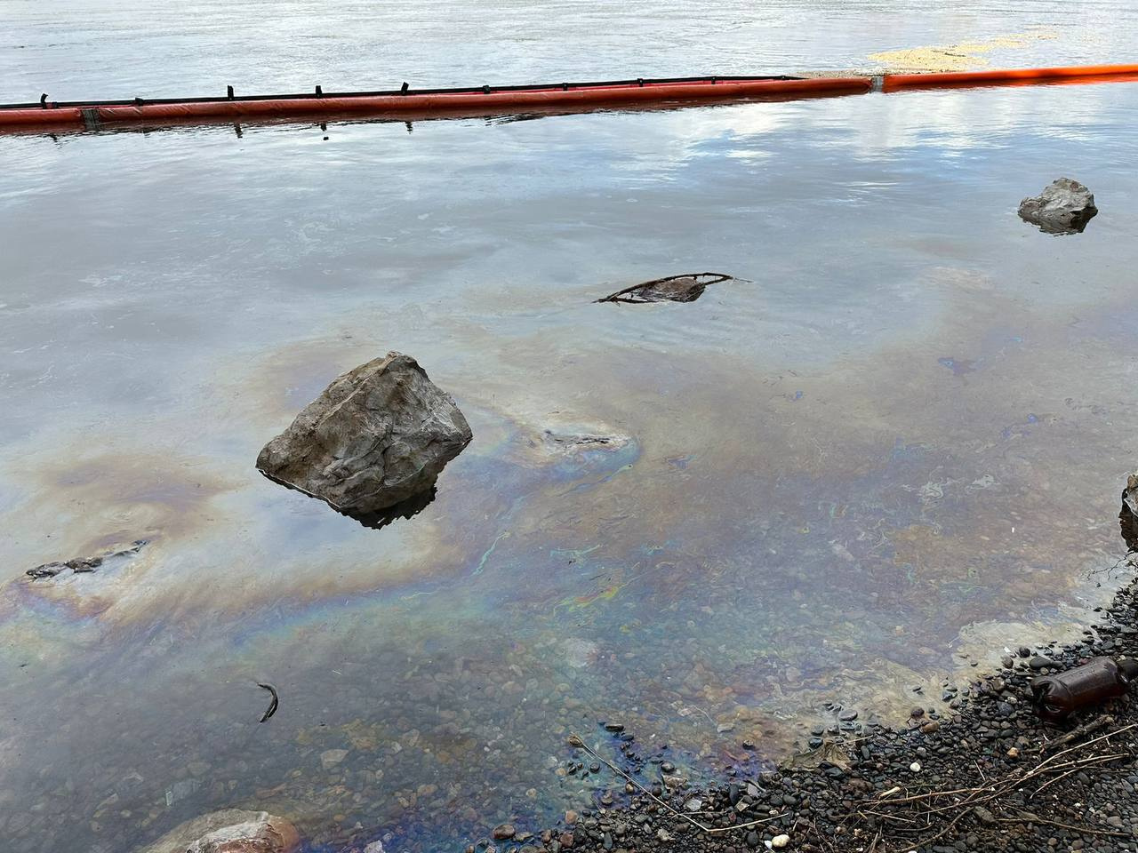 Масляное пятно на поверхности воды имеет вид показанный на рисунке