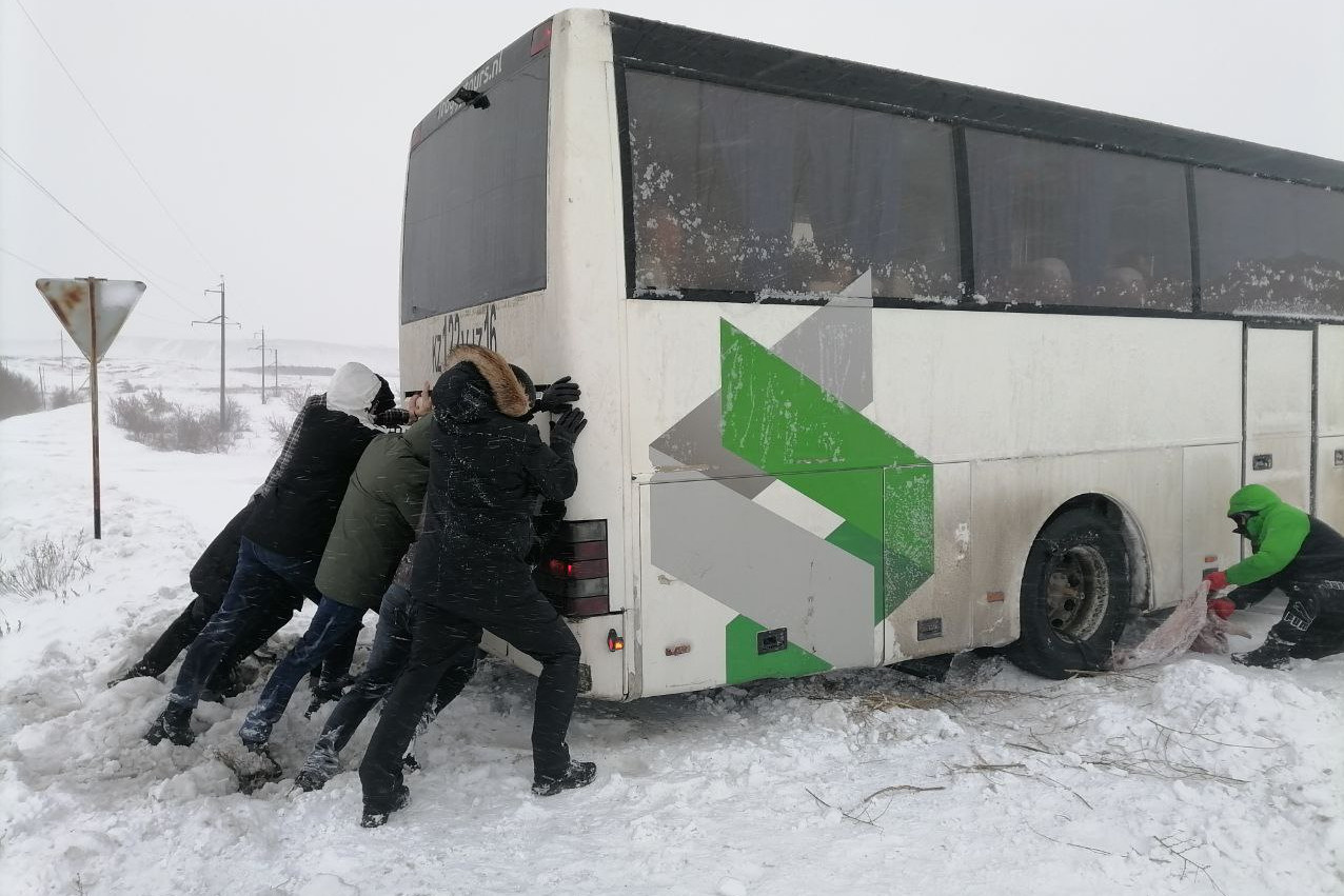 Покажи фото автобуса