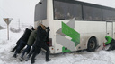 Толкали пассажиры: автобус с новосибирцами застрял в Казахстане недалеко от границы с РФ — фото с места