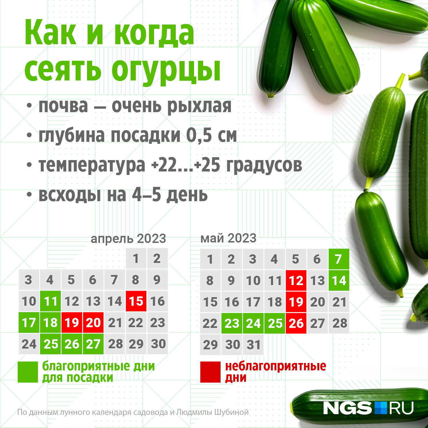 Когда сажать огурцы на рассаду: сорта огурцов для теплицы самоопыляемые,  какие не горчат - 9 апреля 2023 - msk1.ru