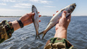 Ловись, рыбка, большая и маленькая: подборка золотых мест для рыбалки в Волгограде и области