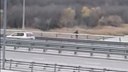 Мужчина упал с Ворошиловского моста на набережную в Ростове