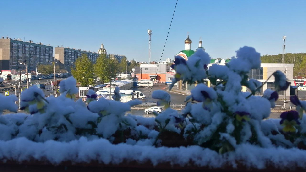 «Месяц май, ты сошел с ума?»: в Челябинске выпал снег