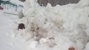 «Лежат под этой грудой снега!» На Южном Урале могилы погибшего бойца СВО и его отца завалили сугробами